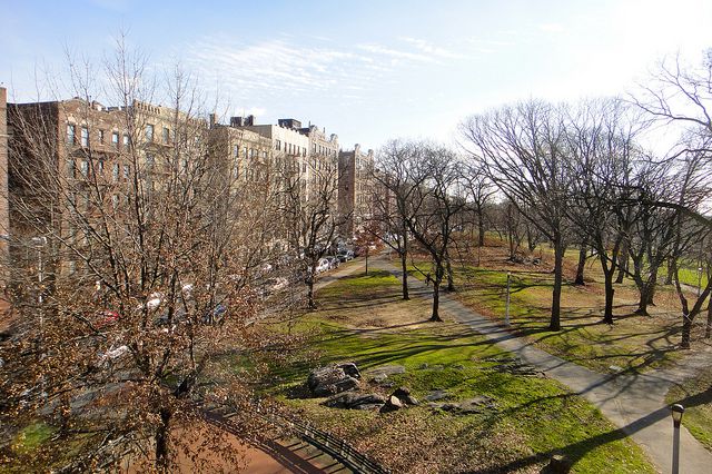 A NYCHA housing complex in the Bronx.